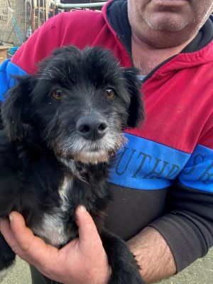 597152865 4380260312297098 202008741967956309 n