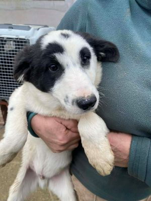 597154348 4089311914713409 5257590204838443356 n