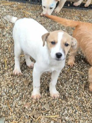 597157547 788800750886659 2545958835975046589 n