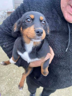 597208230 1415953439892519 6938068170013010654 n