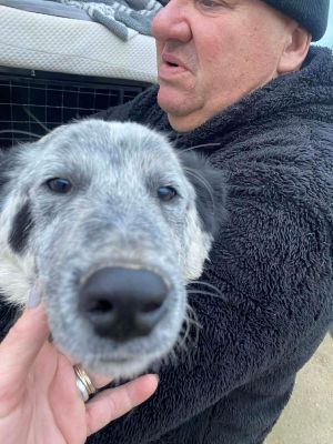 597218746 705568159287350 4220398656739146048 n