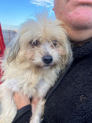 597220518 818998774455895 3842029430046673161 n