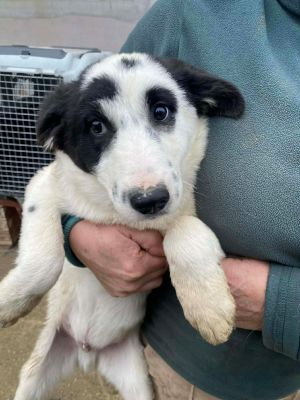 597224540 1386488652819371 2501668202281383501 n