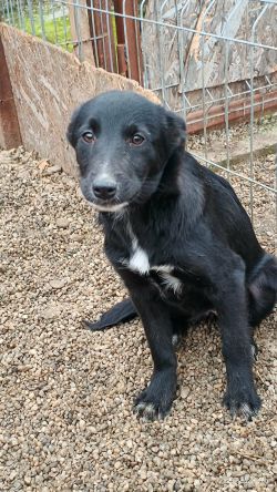 597239515 1357963445526221 6620100284695411378 n