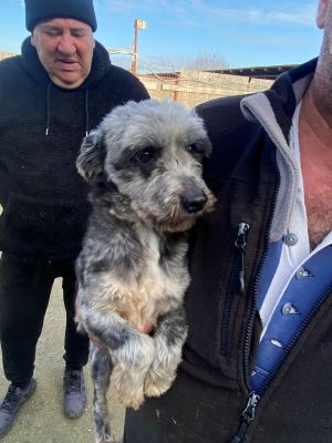 597252010 3159439904355585 2802459110675005592 n