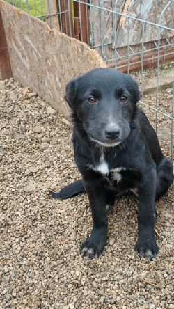 597261973 1686631489382756 8972095309356771459 n