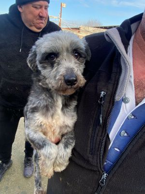 597267896 1148450083713625 2621820744318715829 n