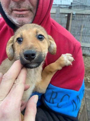 597268411 764914433299493 8246661308165189671 n