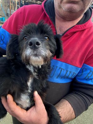 597286377 24705958975749289 1831345933778780417 n