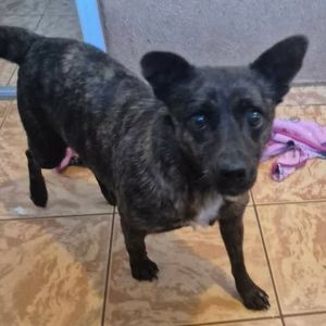 597296825 4427209380938440 7542263572870589425 n