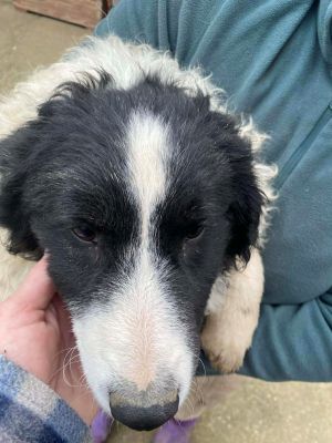 597339689 1577165706975269 5331206907681805334 n