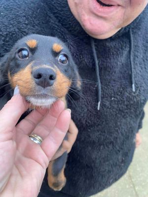 597372993 838883105669654 6281231677488651391 n