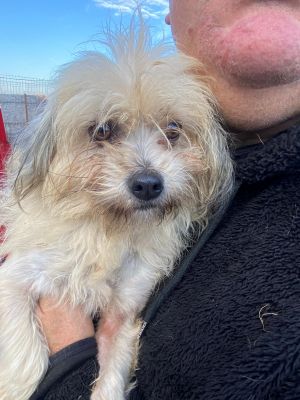 597399617 1768366400539176 5328738153140668891 n