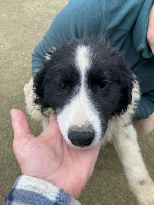 597404628 1700703040907003 7685747124817833562 n