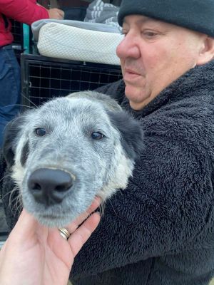 597482465 854381860640711 1180201870405556528 n