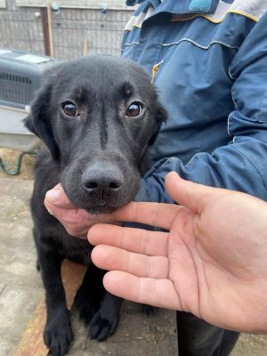 597485419 1257966596140439 8577762649539925395 n