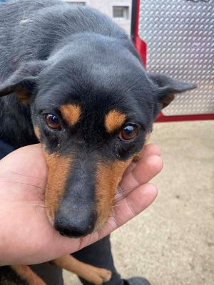 597489703 1657209092324256 788613054646222358 n