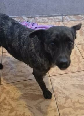 597551228 25128887086814411 8773108537949349160 n