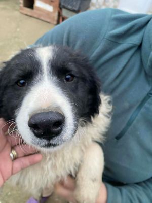 597560191 1995551597669134 2334123642121783915 n