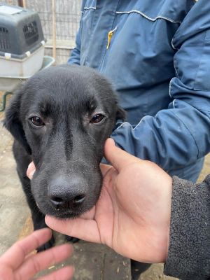 597571815 724761080684114 7579557674092659322 n