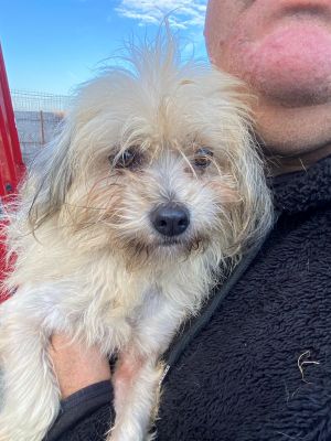 597576173 2282989912207352 3840498113603252758 n