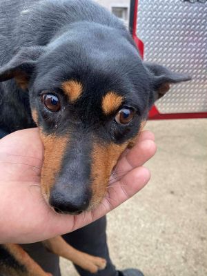 597606934 3323555387817908 2266256967821310715 n