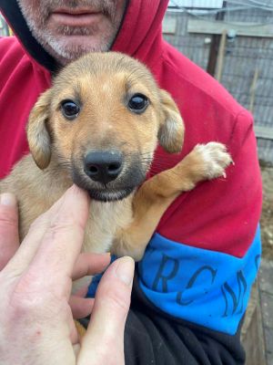 597613344 1390455702782521 3180157368096732614 n