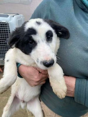 597615405 1191573323079476 3507657929174509310 n