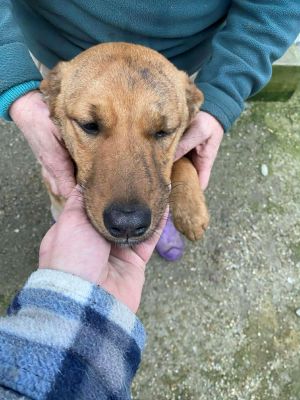 597618229 4075777589328088 2166447839257014316 n