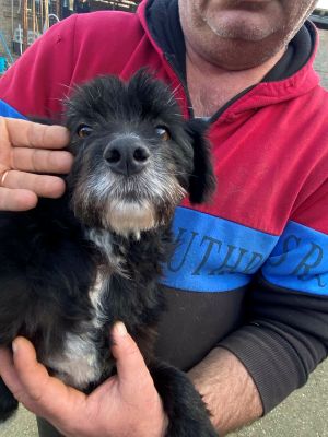 597625326 885605957358842 42852314406715535 n