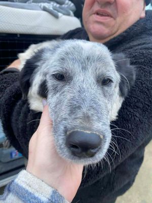 597635260 705364212645242 522163898319688511 n