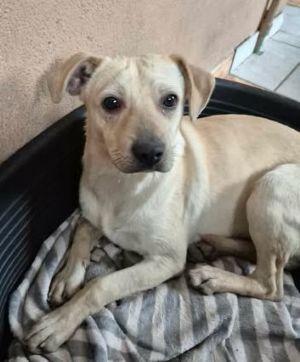 597655472 1185632786457000 388040235049931983 n