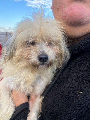 597655472 694515543534683 8363715536383947577 n