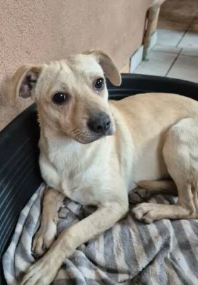 597655472 831921339723477 351375249429958707 n