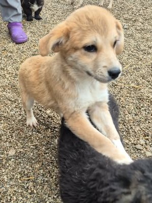 597665522 639535262519537 8568520629728206831 n