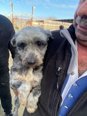 597665524 722079520497462 2395697030441278769 n