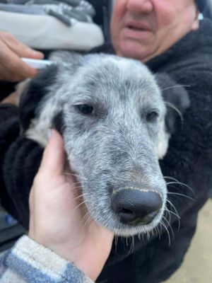 597674628 749031201548687 6471904917109999366 n