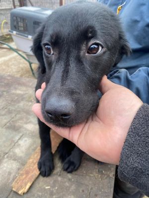 597687436 1172989668317156 5900642615347610209 n