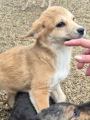 597760014 1161812196126031 6110596009314507134 n