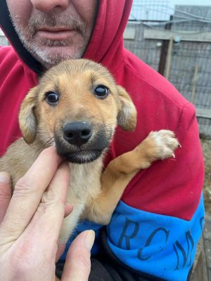 597782398 1619561642364508 7292326070733468750 n