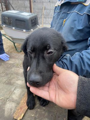 597894418 2261571387601763 4133107057141444061 n