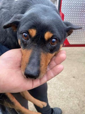 597904316 1302089534975328 7793986973033639286 n