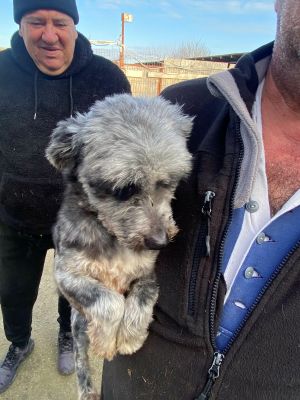 597904316 890194947011930 5302181077582520599 n