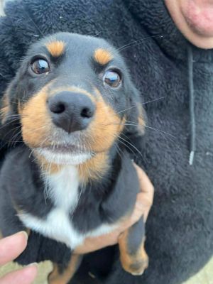 597914165 1121887649814498 4617369318185741799 n