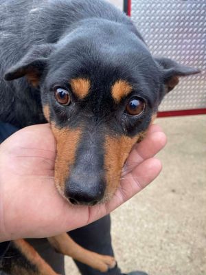 597930287 1954800888753252 6725407280238242436 n