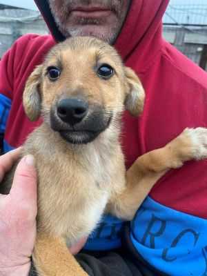 597937259 904165682124144 902319406782425855 n