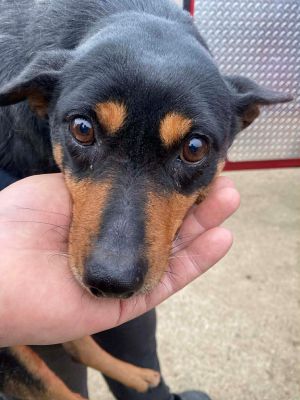 597947673 1587876179009347 6941758110496790878 n