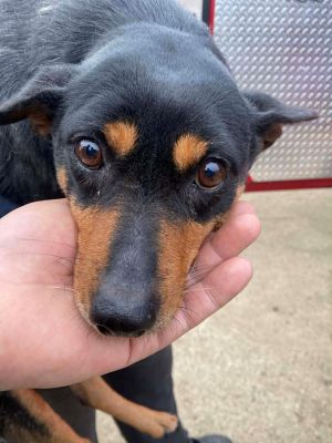 597957603 849438291238038 4873048264003718375 n