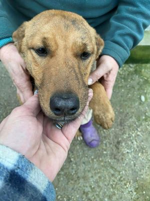 597979475 1630236958346759 5728330098766250169 n