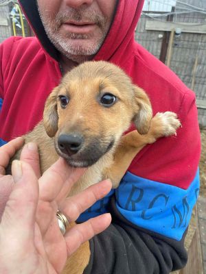 597996399 2364068380717818 3474537942692960344 n